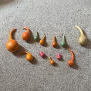 Colorful Decorative Gourds Set